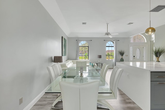 dining area with ceiling fan and light hardwood / wood-style flooring