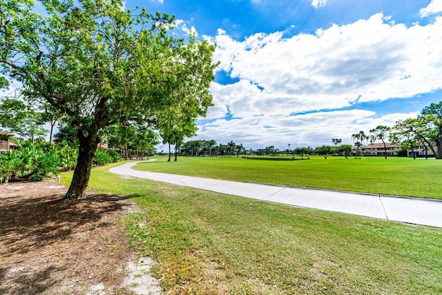 view of community with a yard