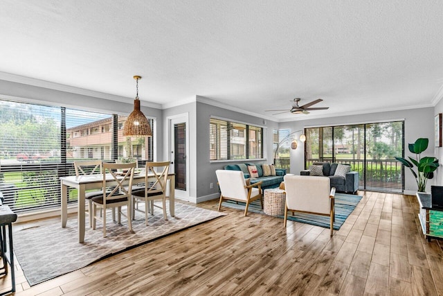 living room with plenty of natural light and hardwood / wood-style flooring