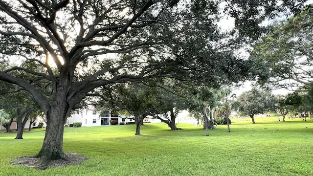 surrounding community featuring a lawn