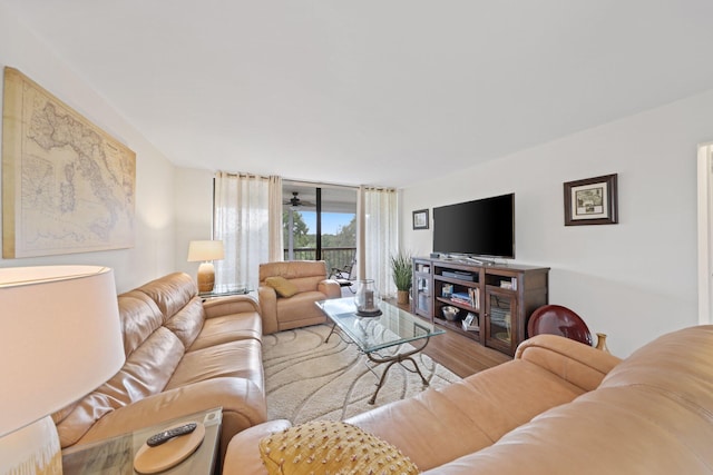 living room featuring light hardwood / wood-style floors