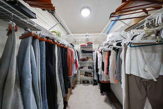 spacious closet featuring carpet floors