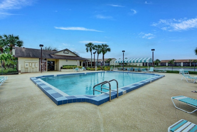 view of pool with a patio area