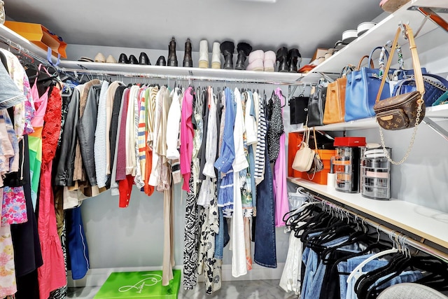 view of spacious closet