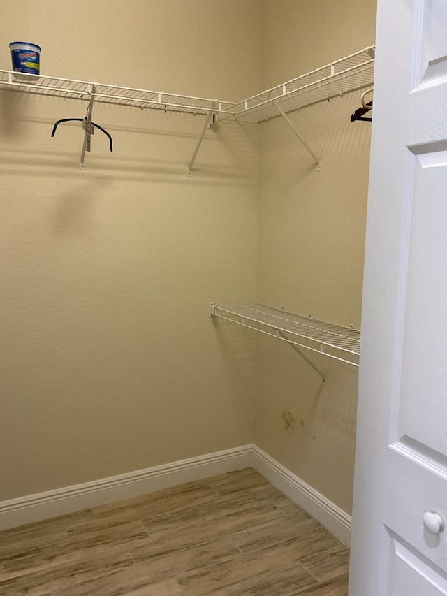 walk in closet featuring wood-type flooring