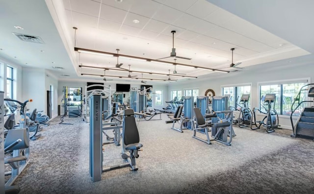 gym featuring a tray ceiling, ceiling fan, and carpet