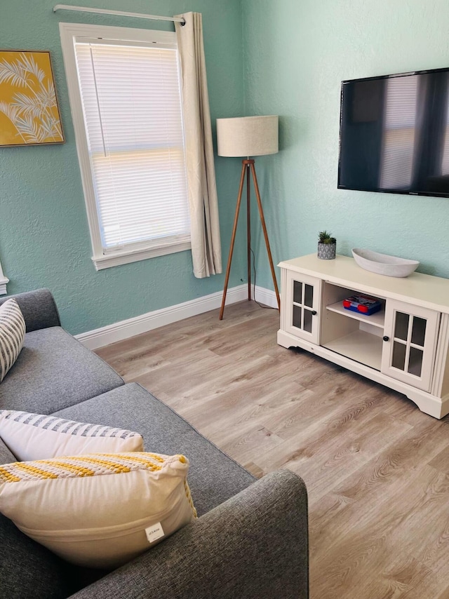 living room with light wood-type flooring