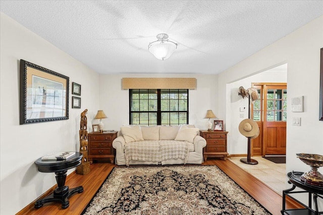 living room featuring hardwood / wood-style floors and a textured ceiling