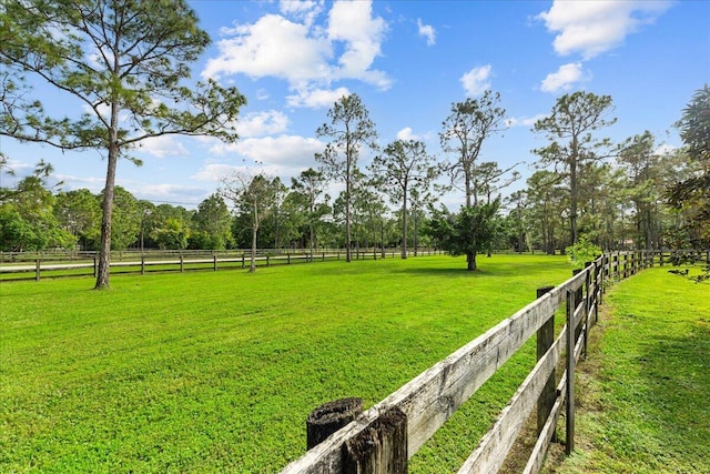 view of yard with a rural view