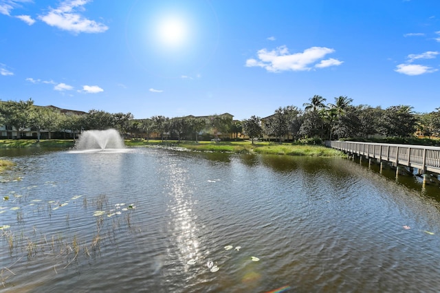 property view of water