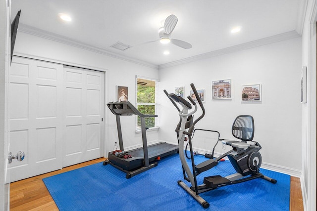 workout room featuring hardwood / wood-style flooring, ceiling fan, and ornamental molding