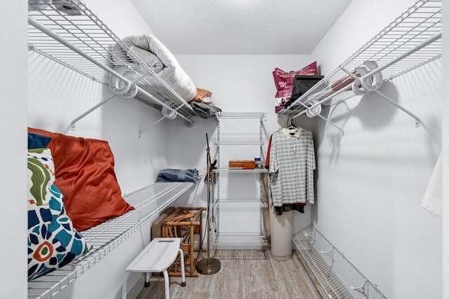 spacious closet with hardwood / wood-style flooring