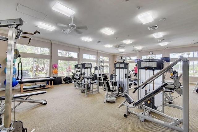 workout area with ceiling fan, a wealth of natural light, ornamental molding, and carpet floors