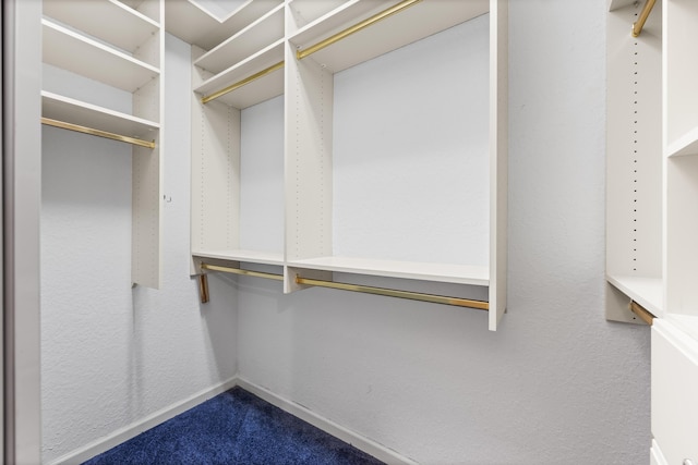 spacious closet with carpet floors