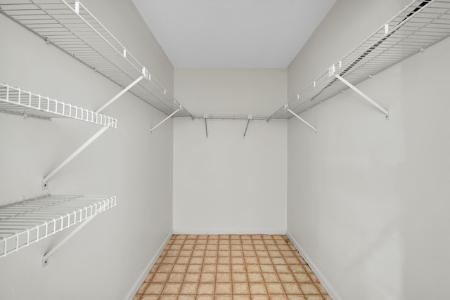 view of walk in closet