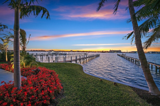 dock area featuring a water view