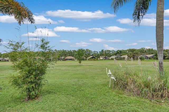 6136 SE Georgetown Pl, Hobe Sound, FL 33455 - view of grassy yard