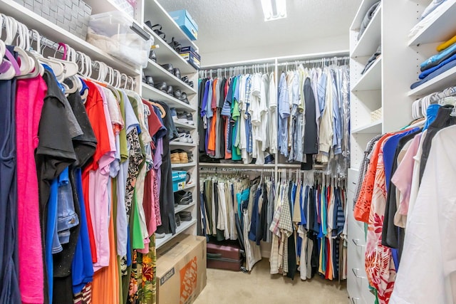 spacious closet featuring light colored carpet