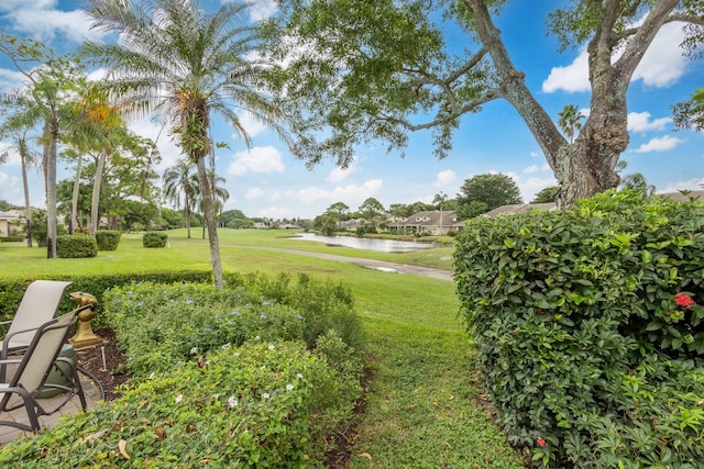 view of yard featuring a water view