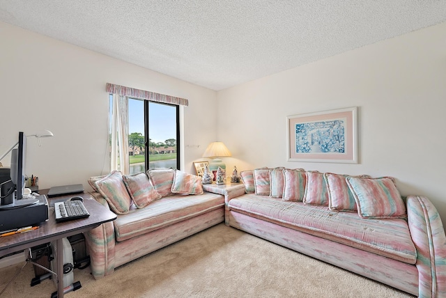 carpeted living room featuring a textured ceiling