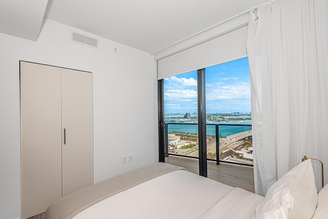 bedroom with a closet, a water view, and multiple windows