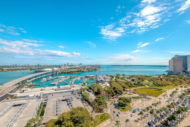 aerial view with a water view