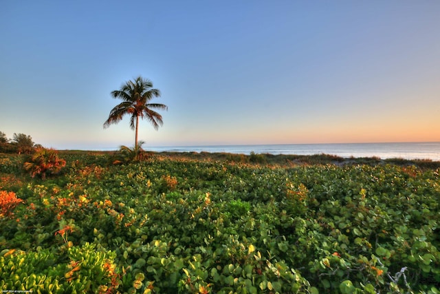 nature at dusk with a water view and a beach view