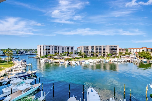 water view featuring a boat dock