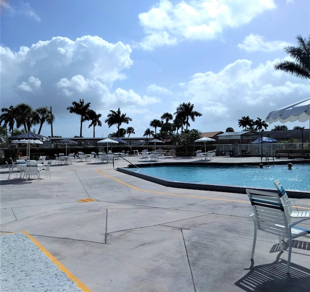 view of swimming pool with a patio