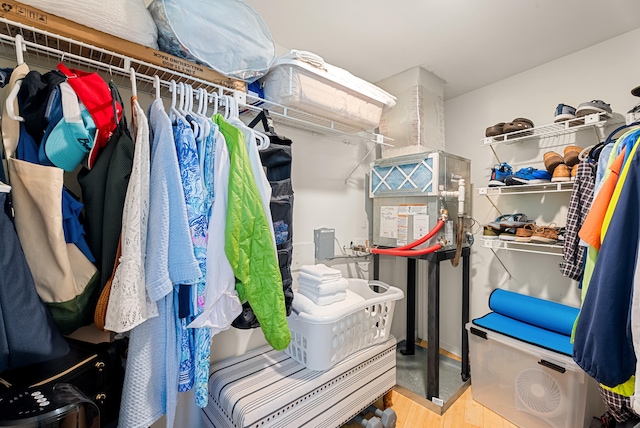 spacious closet featuring wood-type flooring