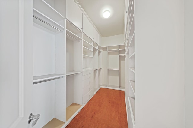 walk in closet with hardwood / wood-style flooring