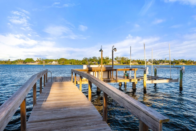 dock area with a water view