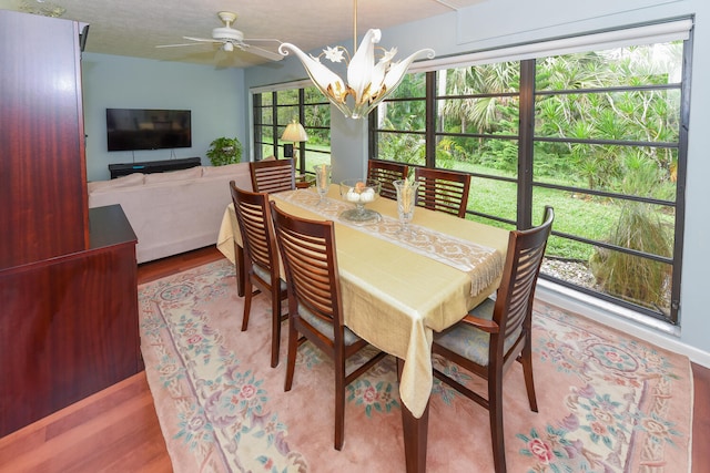 dining space featuring wood-type flooring and ceiling fan with notable chandelier