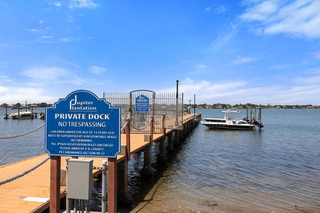 dock area with a water view