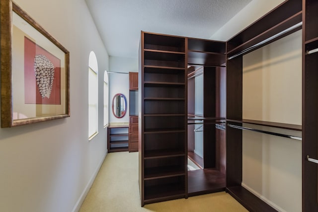 walk in closet featuring light colored carpet