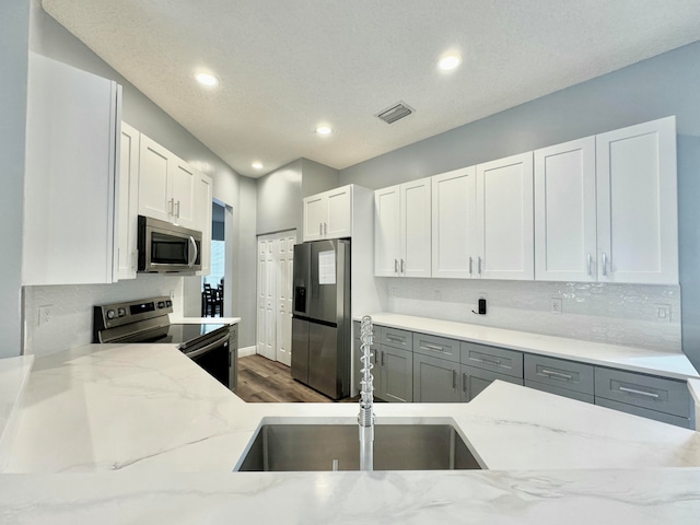 kitchen with sink, dark hardwood / wood-style floors, light stone countertops, white cabinetry, and stainless steel appliances