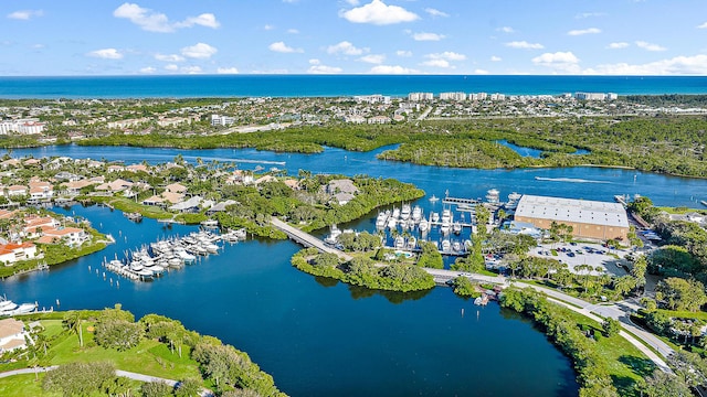 bird's eye view with a water view