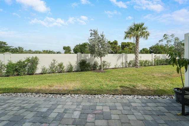 view of yard featuring a patio area