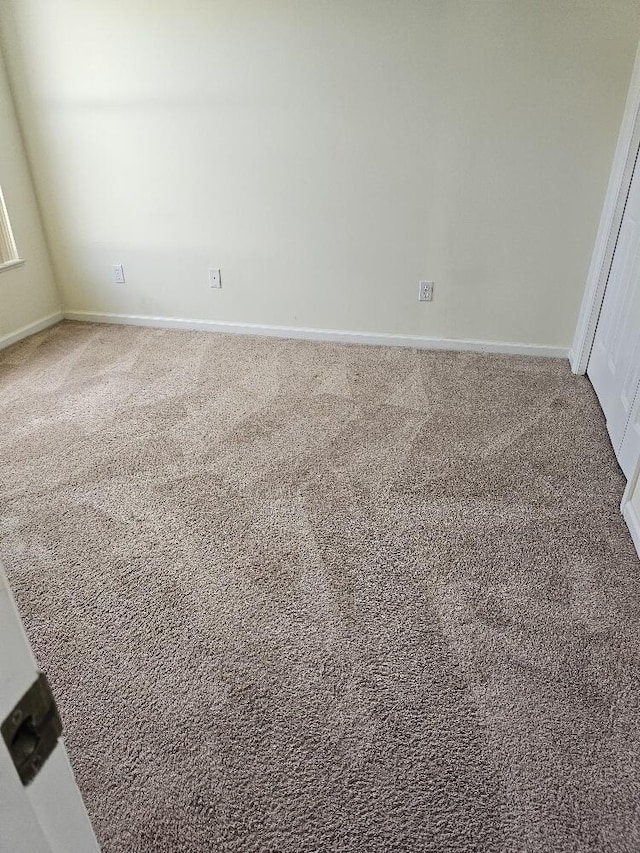 room details featuring carpet floors