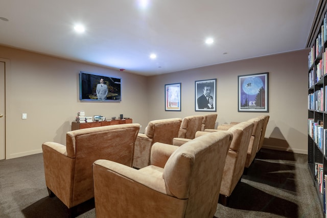 view of carpeted home theater room