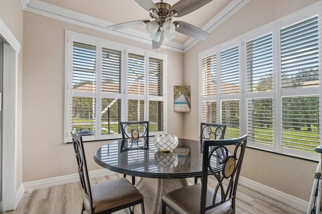 dining area with ceiling fan, ornamental molding, a healthy amount of sunlight, and light wood-type flooring