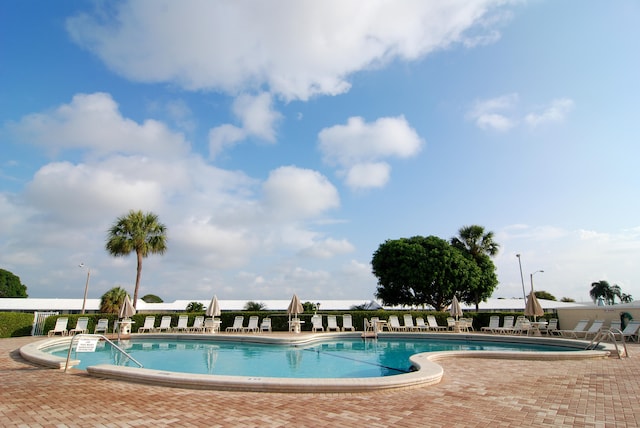 view of swimming pool featuring a patio