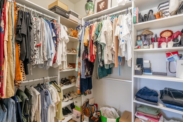 view of walk in closet