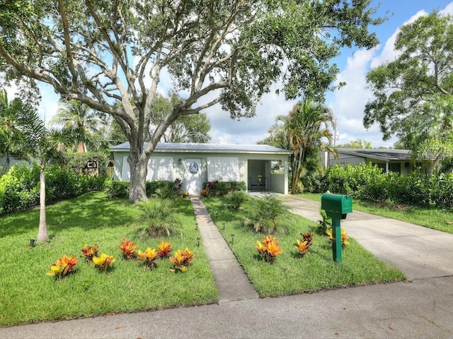 ranch-style home with a front lawn