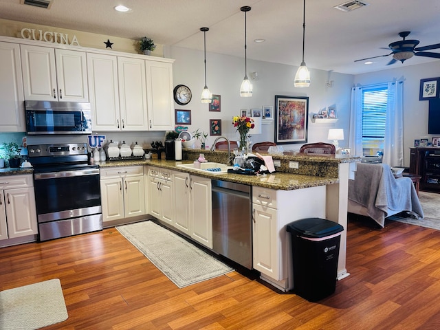 kitchen with light wood-type flooring, kitchen peninsula, and stainless steel appliances