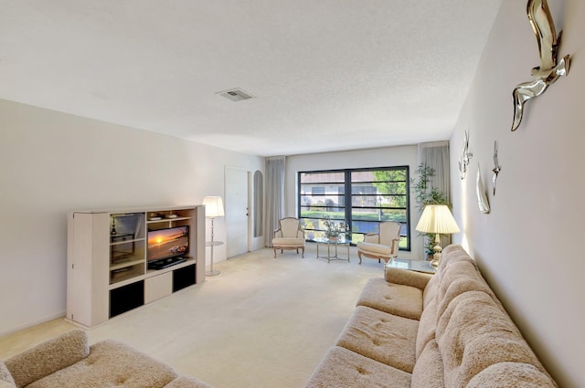 living room with carpet flooring and a textured ceiling