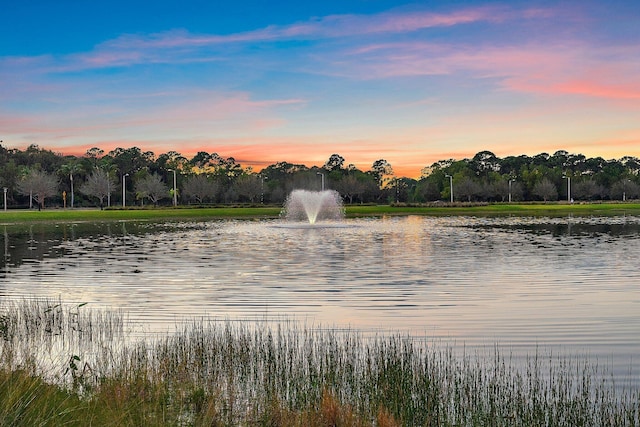 property view of water