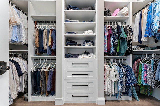 spacious closet with wood-type flooring