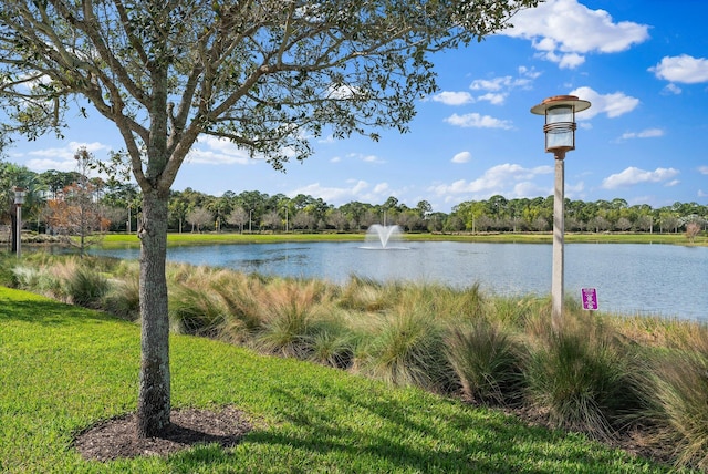 property view of water