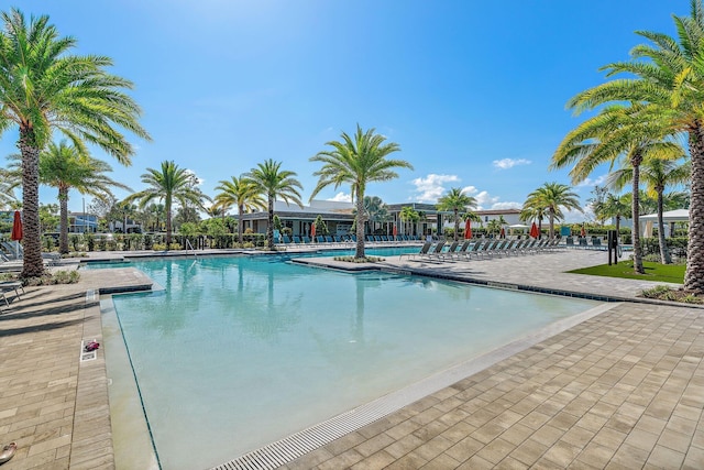 view of pool featuring a patio